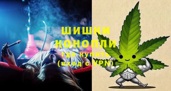 молекула духа Гусев
