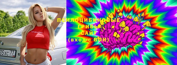 ПСИЛОЦИБИНОВЫЕ ГРИБЫ Нижний Тагил